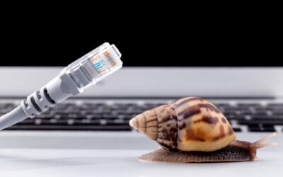 Is Your Business Broadband Slow Due to Multiple Users?